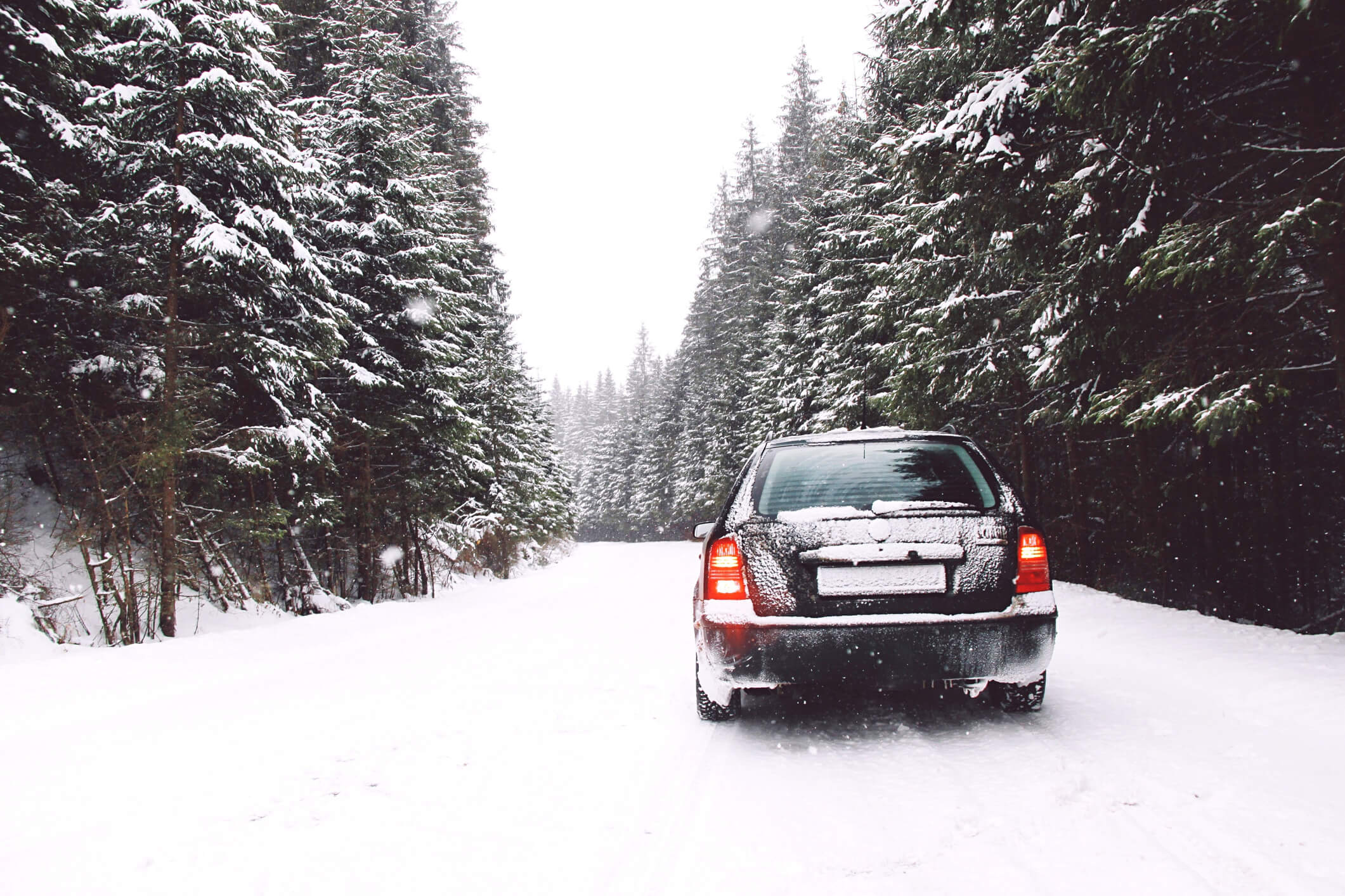 Car On Snow Covered Road Amidst Trees During Winter